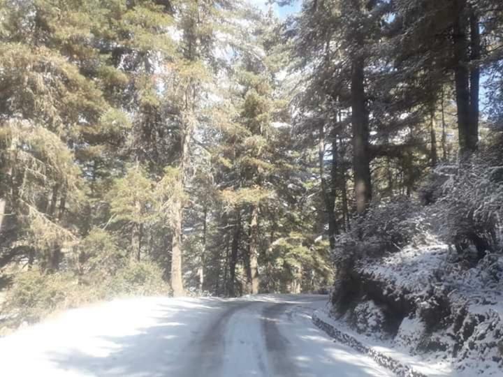 Odiyana Hotel Gangtey Gonpa 外观 照片